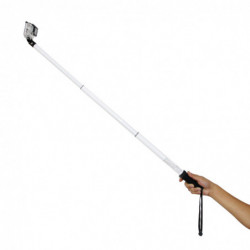 Monopod Reach