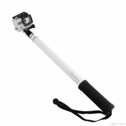 Monopod Reach