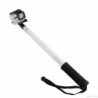 Monopod Reach