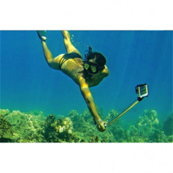 Monopod Transparente
